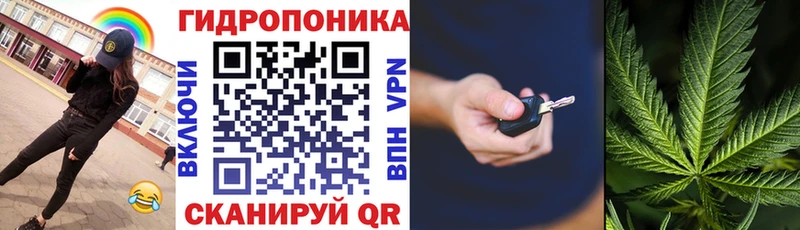 дарк нет состав  Светлогорск  Каннабис индика 